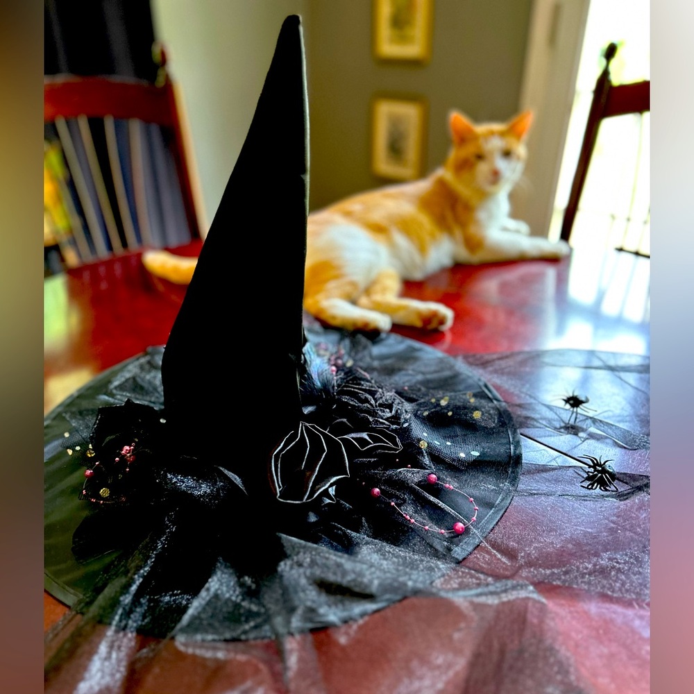Black Witch Hat with Tulle and Bead Details